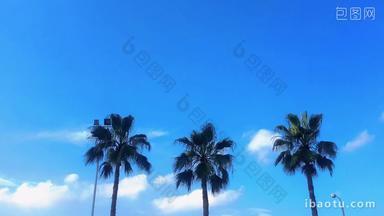 广州蓝天白云延时摄影椰子树